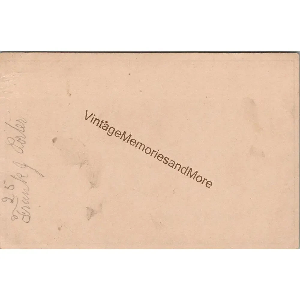 Vintage DeLand's Chemical Baking Powder Advertising Trade Card‎ PB23